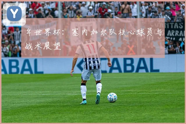年世界杯：塞内加尔队核心球员与战术展望